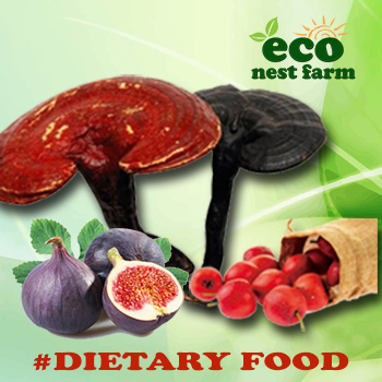 Healthy Dietary Food 健康纤维膳食